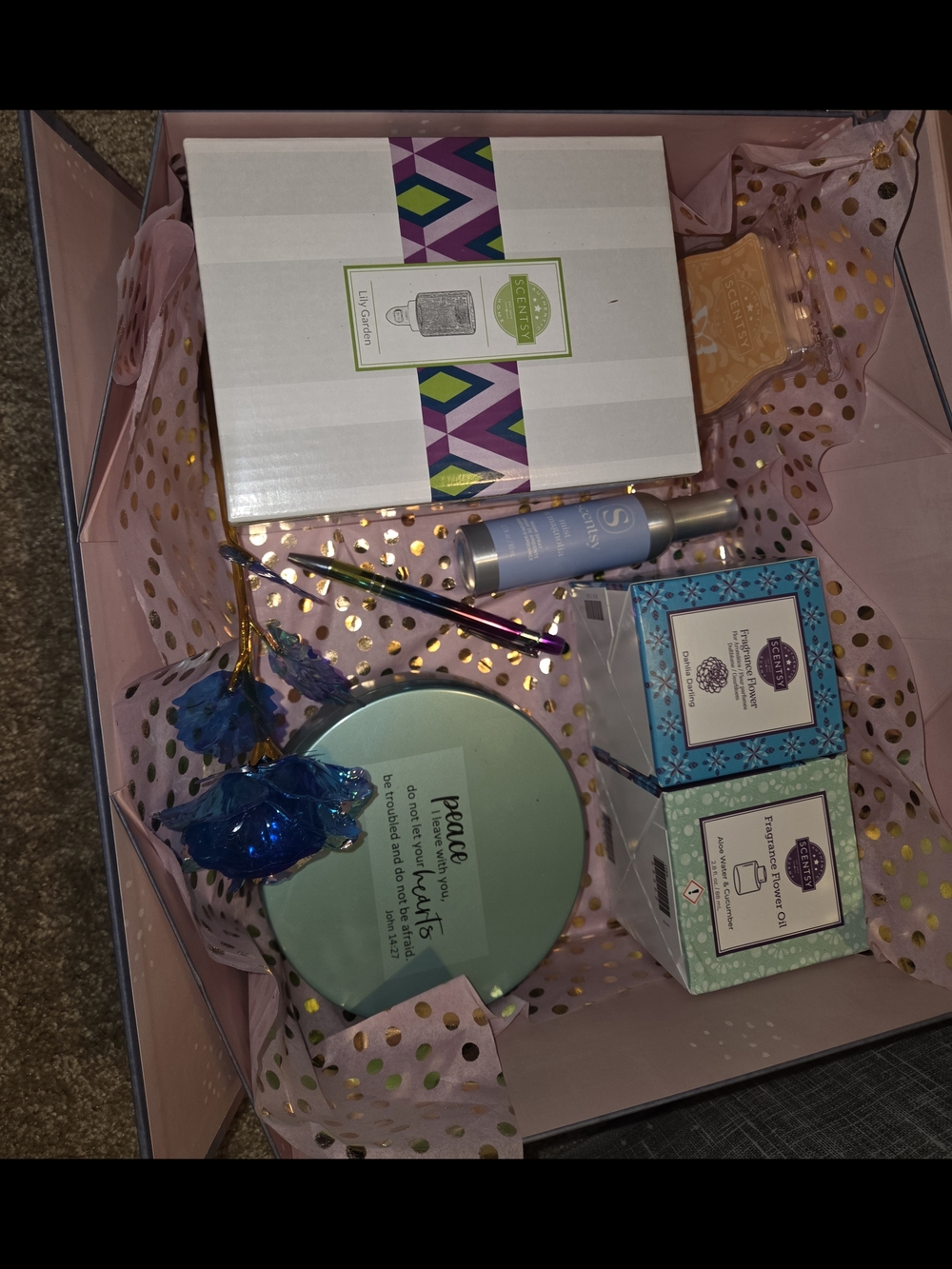 Scentsy Gift Set